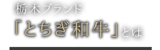 栃木ブランド「とちぎ和牛」とは