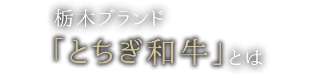 栃木ブランド「とちぎ和牛」とは